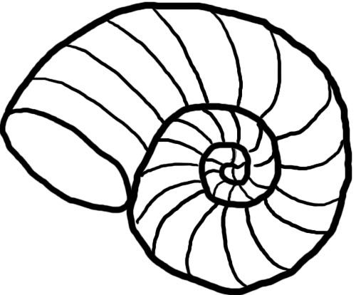 Shell clipart free download clip art free clip art on black and white drawing free clipart images sea shells