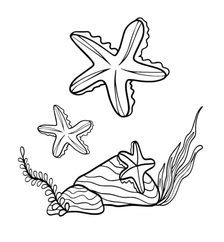 Sea stars and seashells coloring page