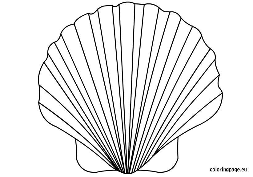 Shell coloring page coloring page