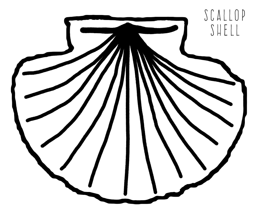 Scallop shell coloring page printable download