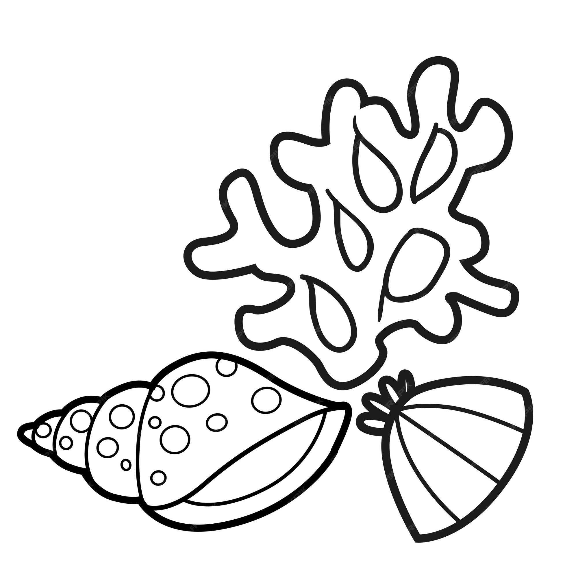 Premium vector small coral with two seashells side by side outlined for coloring page isolated on white background