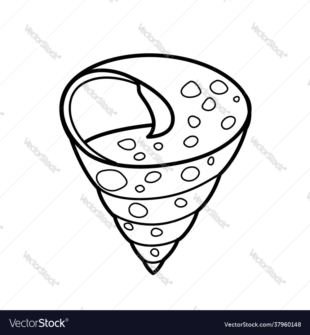 Spiky shell clam outlined for coloring page vector image