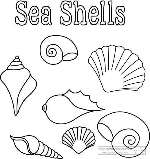 Starfish drawing sea shells elementary art projects