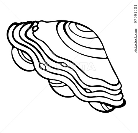Black and white seashell coloring page hand