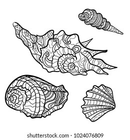 Coloring book coloring page shells sea stock illustration
