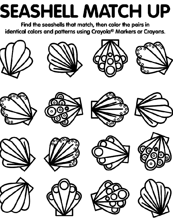 Sea shell match up