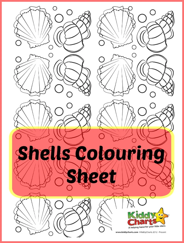 Shell coloring page