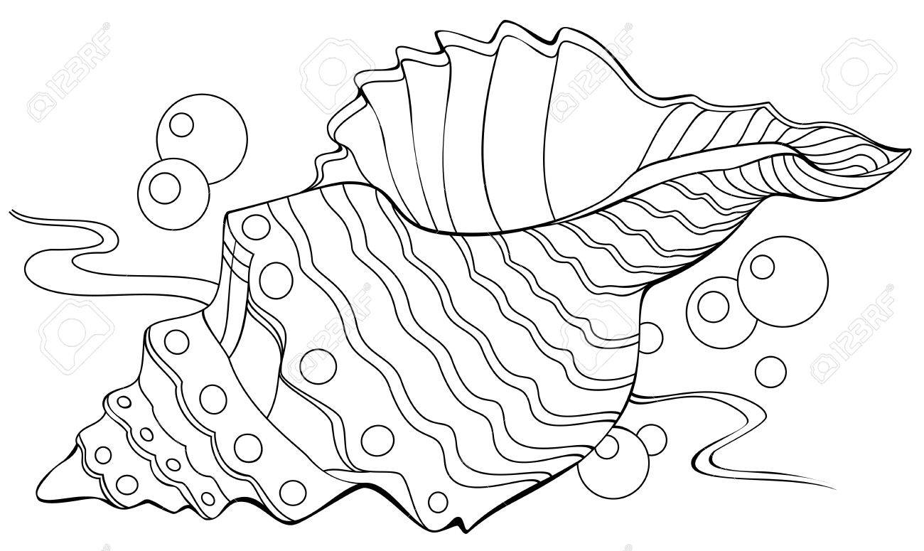 Black and white illustration of a shell for coloring worksheet for children and adults vector image royalty free svg cliparts vectors and stock illustration image