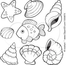 Shell coloring pages ideas coloring pages coloring books colouring pages