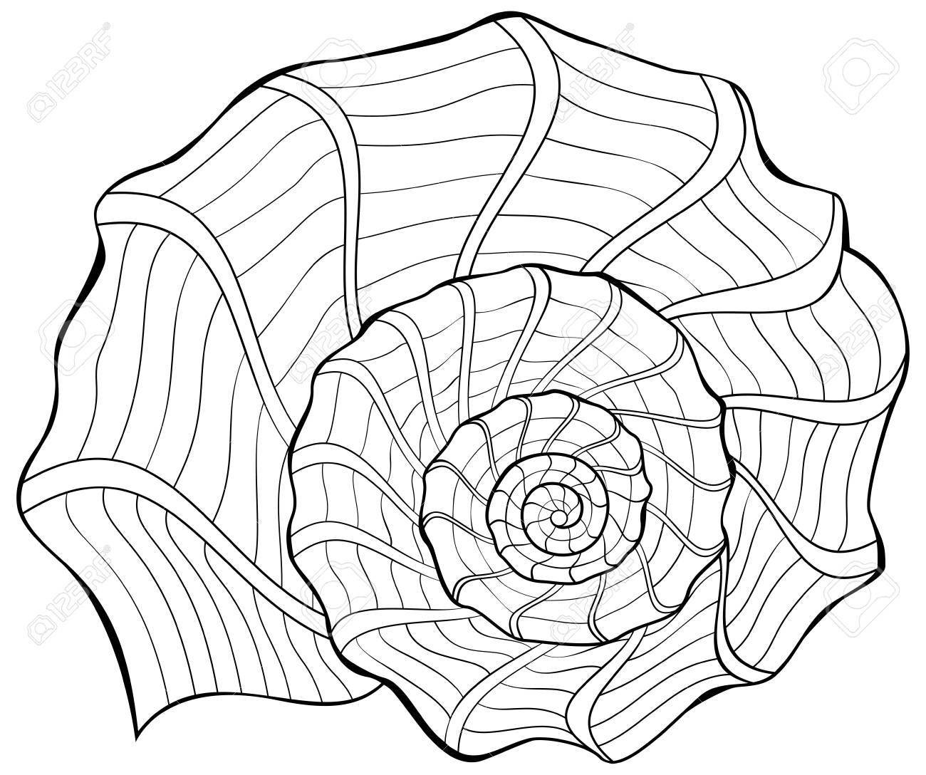 Black and white illustration of a shell for coloring worksheet for children and adults vector image royalty free svg cliparts vectors and stock illustration image