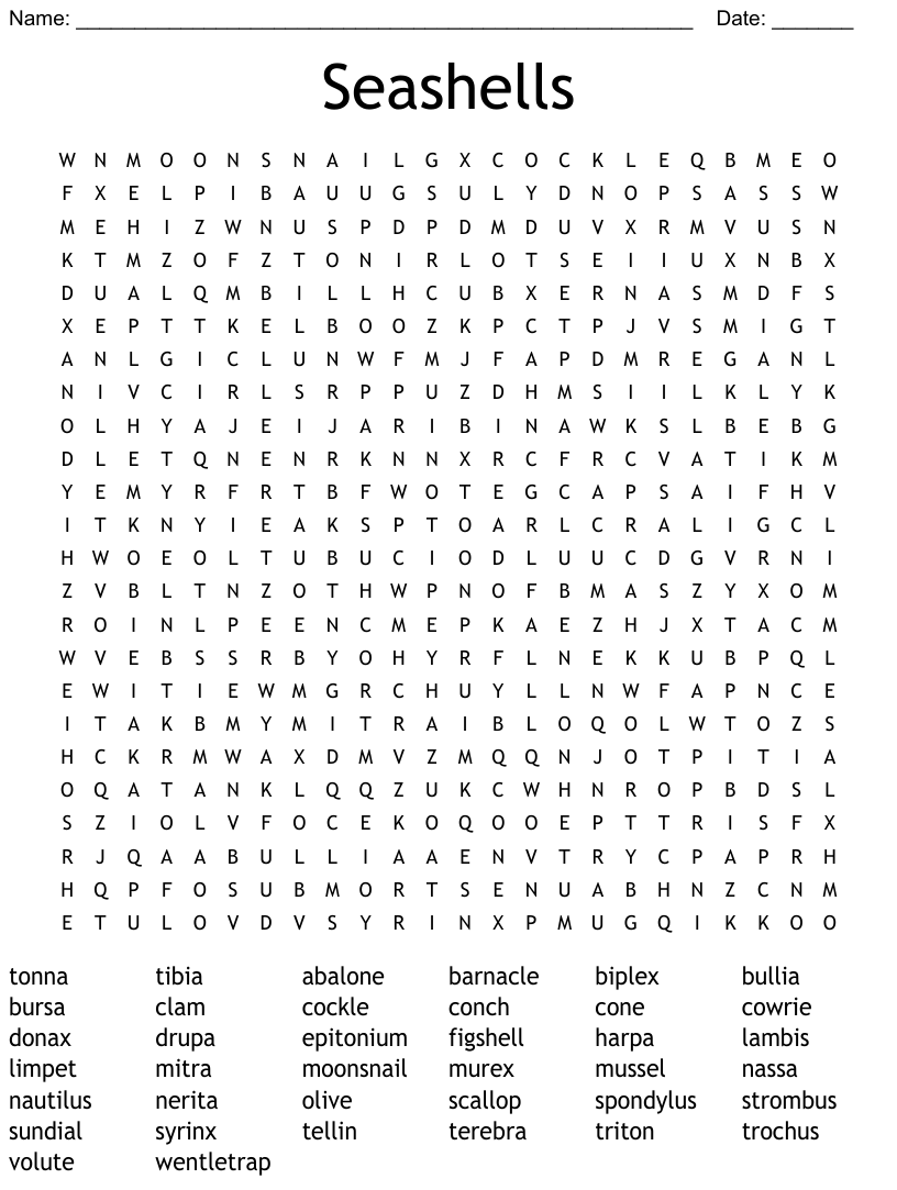 Seashells word search