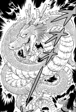 Shenron dragon ball wiki