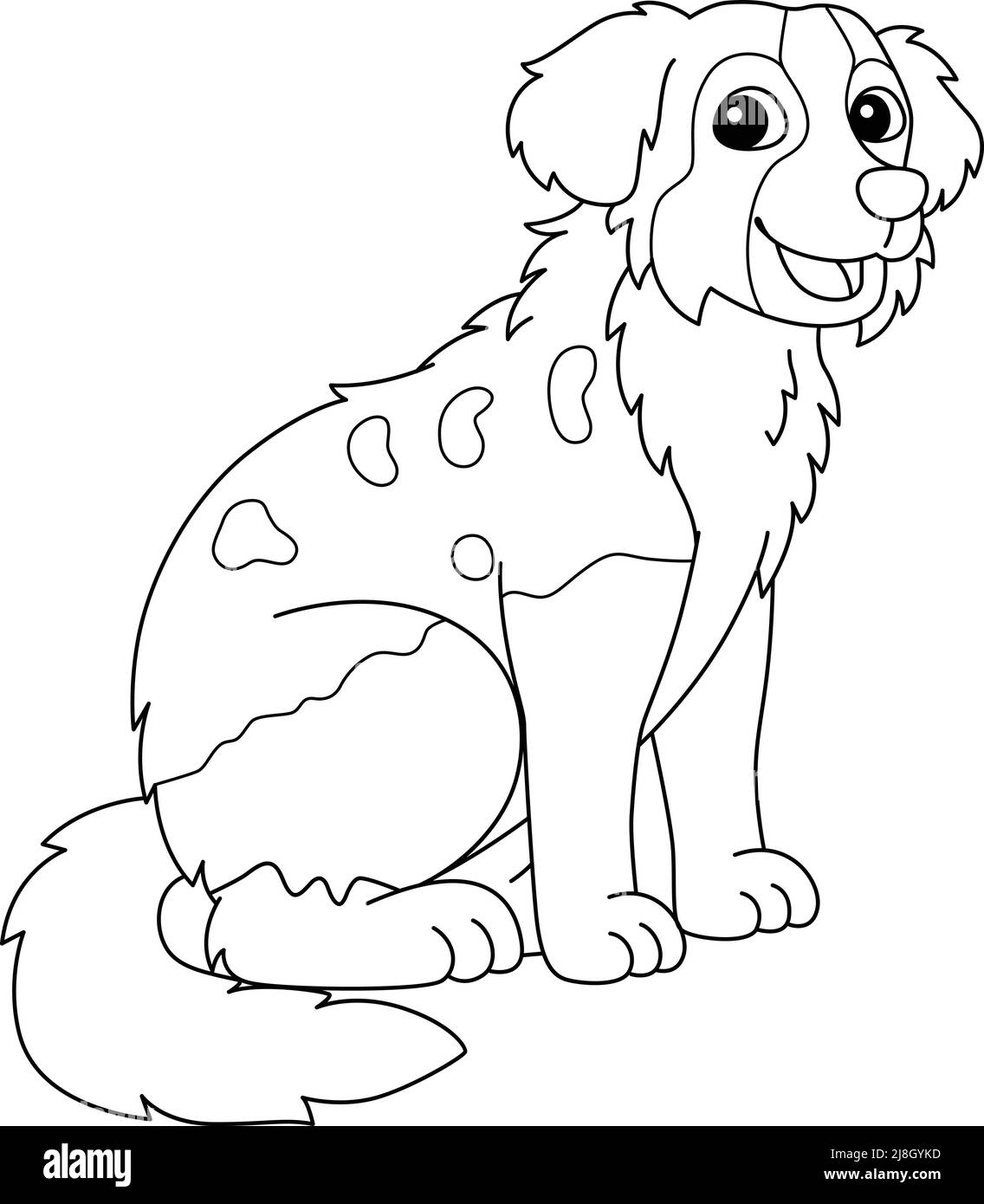 Australian shepherd dog coloring page isolated stock vector image art