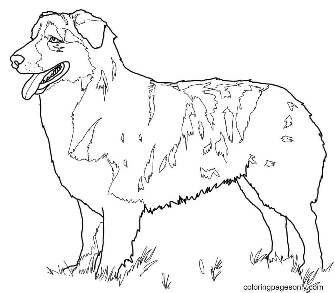 German shepherd coloring pages printable for free download