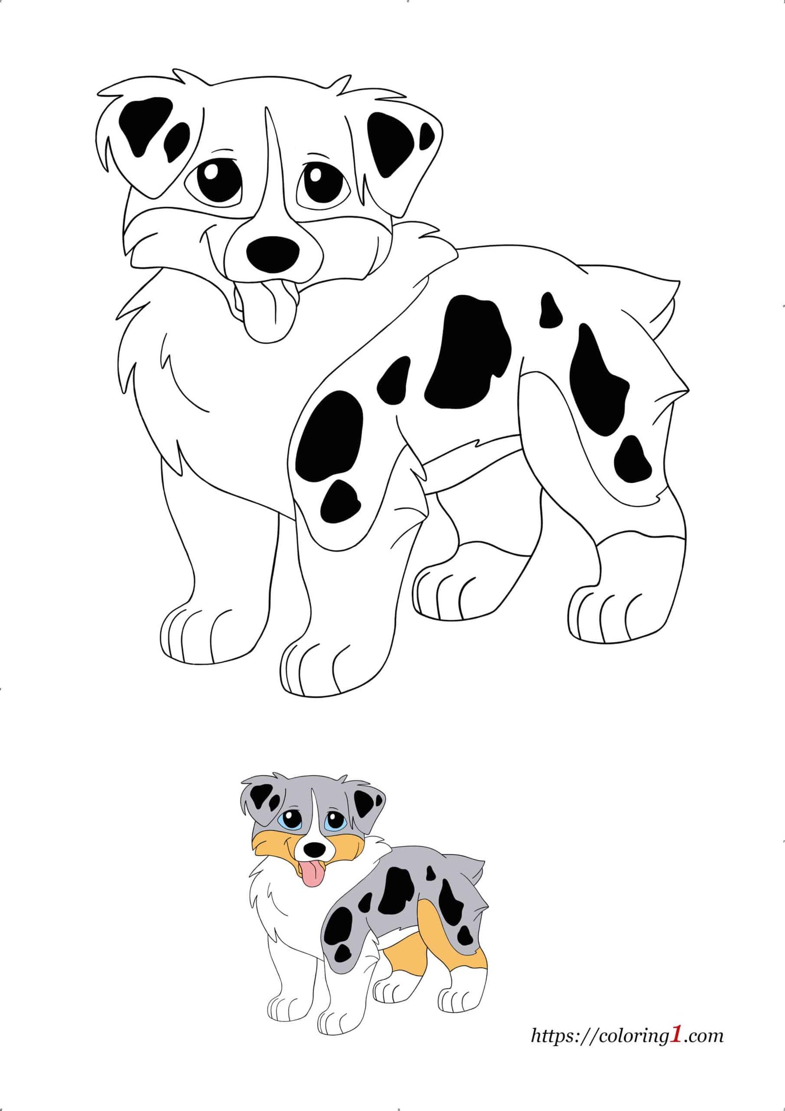 Australian shepherd dog coloring pages