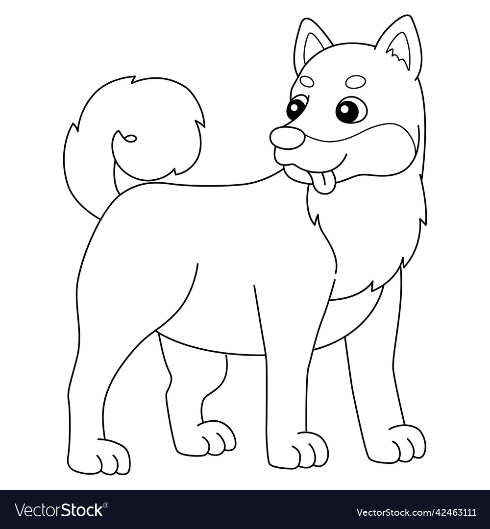 Shiba inu dog coloring page isolated for kids vector image