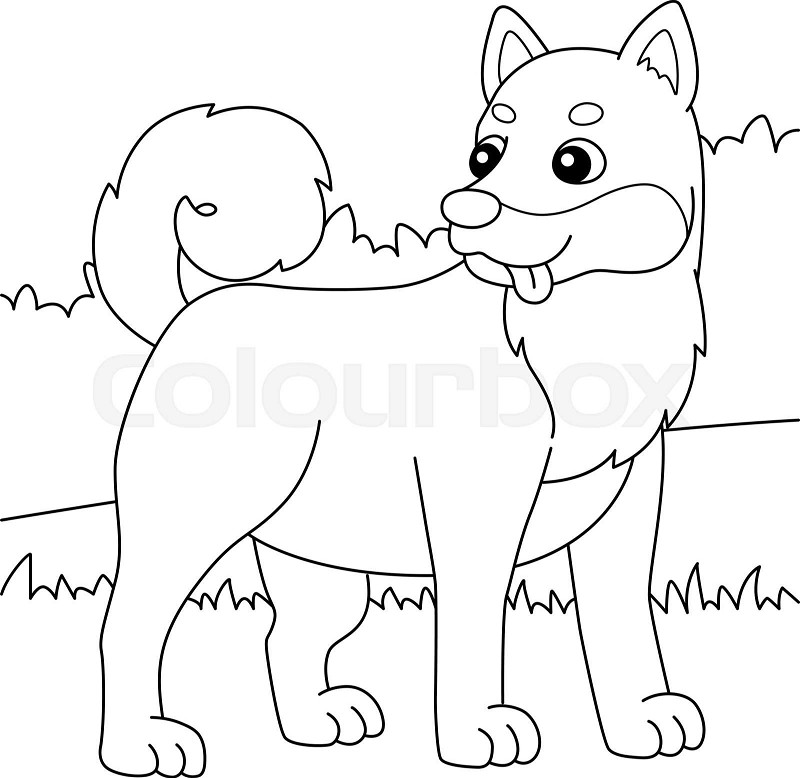 Shiba inu dog coloring page for kids stock vector