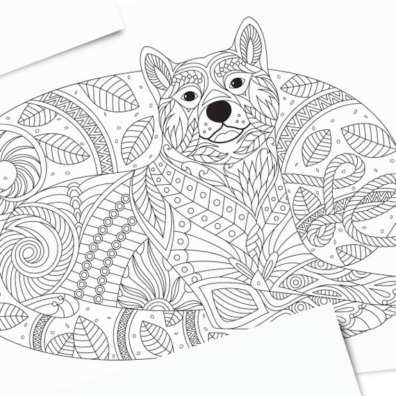 Dog coloring page for adults and children shiba inu dog happy pet playing with a piece of rope instant download