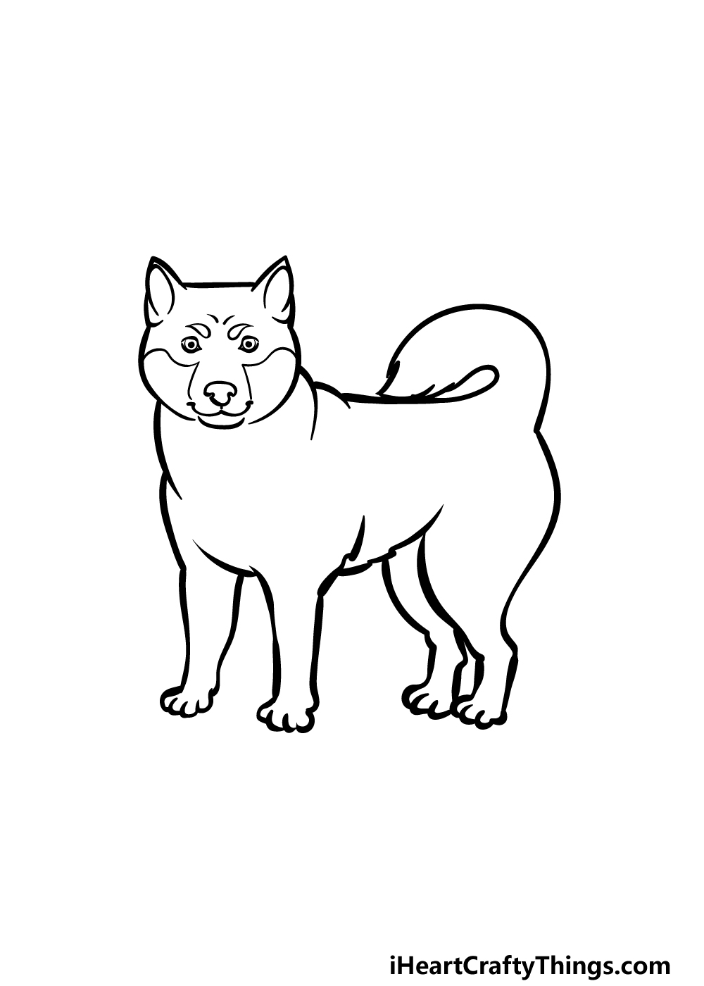 Shiba inu drawing