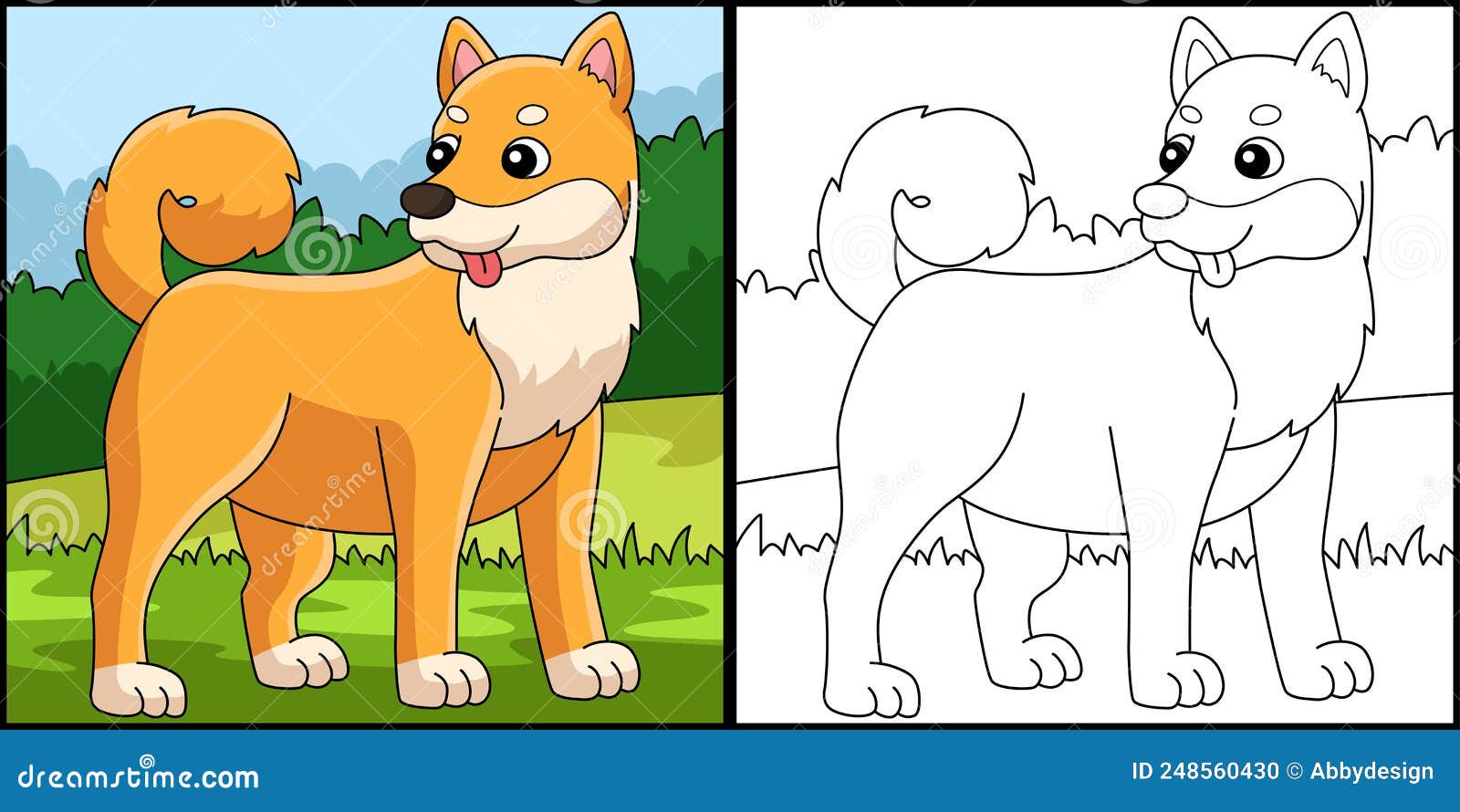 Shiba inu dog coloring page colored illustration stock vector