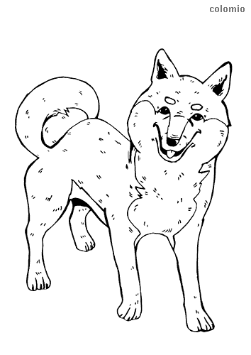 Dogs coloring pages free printable dog coloring sheets