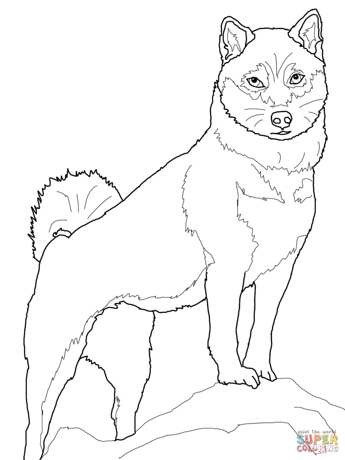 Shiba inu coloring page free printable coloring pages