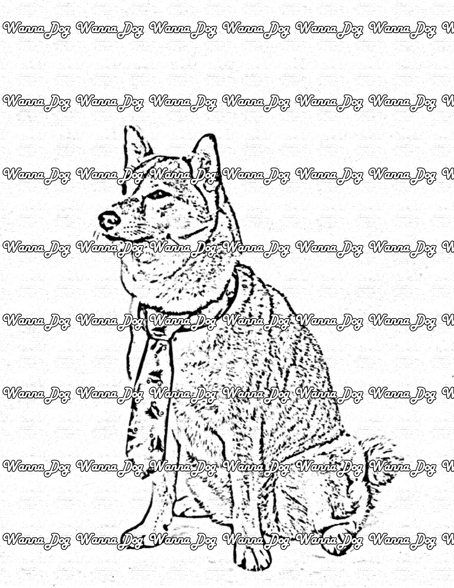 Shiba inu coloring pages â wanna dog