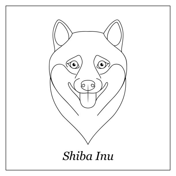 Isolated black outline head portrait of shiba inu on white background happy dog curve lines page of coloring book stock illustration