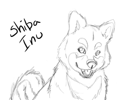 Shiba inu by nyaasu on