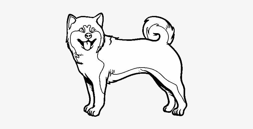 Akita dog coloring page