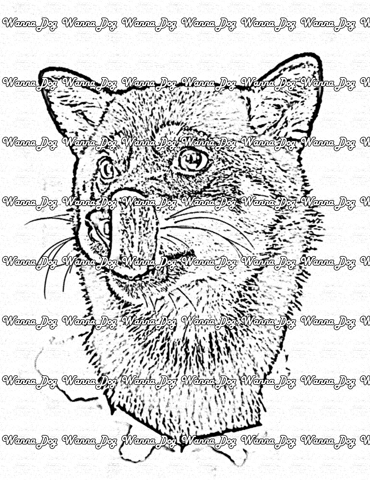 Shiba inu coloring pages â wanna dog