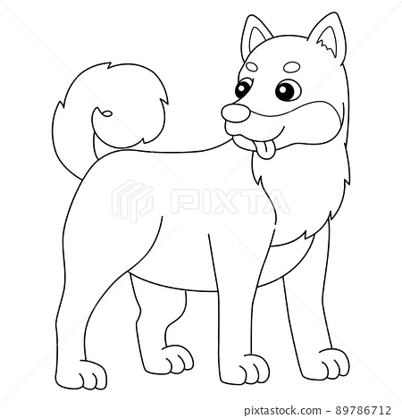 Shiba inu dog coloring page isolated for kids