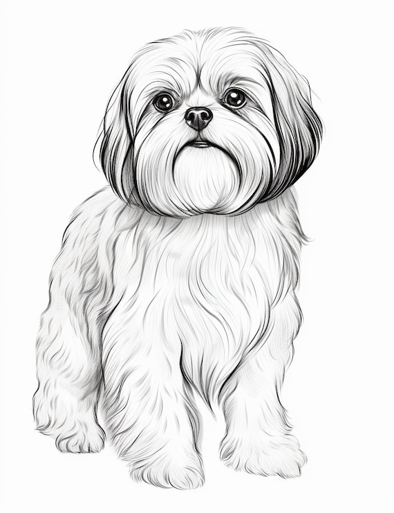 Shih tzu dog coloring pages pet portrait printable coloring page coloring for adults instant download mercial use