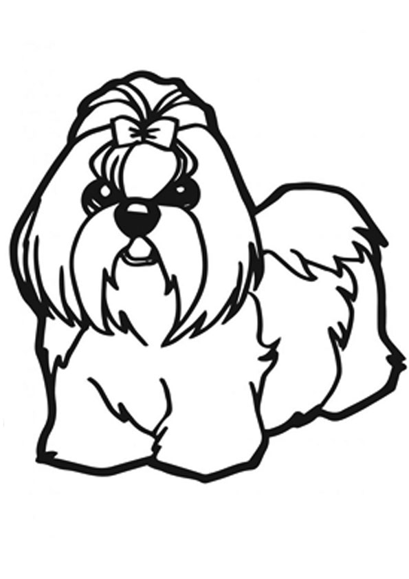 Coloring pages shih tzu puppy coloring pages