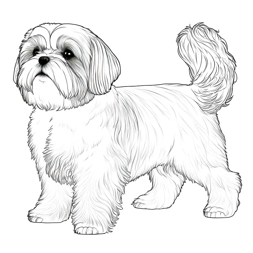 Dog coloring pages â coloring sheets for popular breeds