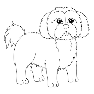 Premium vector shih tzu dog coloring page isolated for kids