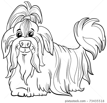 Shih tzu purebred dog animal character coloring