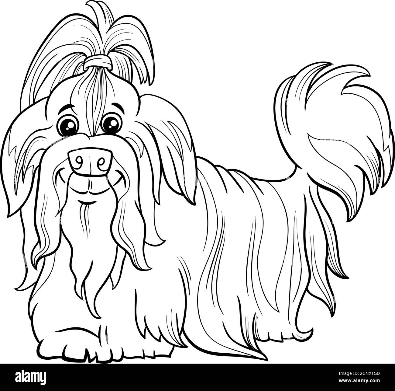 Shih tzu purebred dog animal character coloring book page stock vector image art