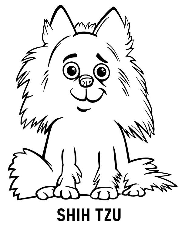 Shih tzu coloring page dog