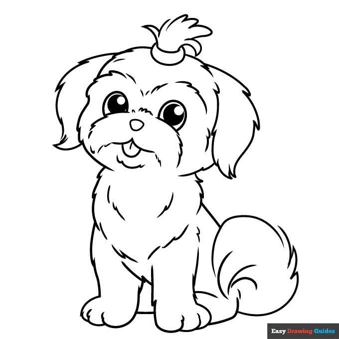 Shih tzu coloring page easy drawing guides