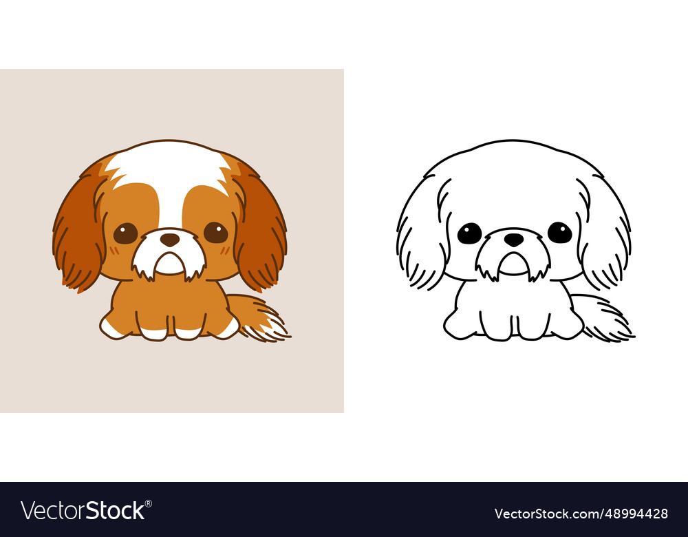 Set clipart shih tzu puppy coloring page vector image