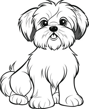 Shih tzu drawing images â browse photos vectors and video