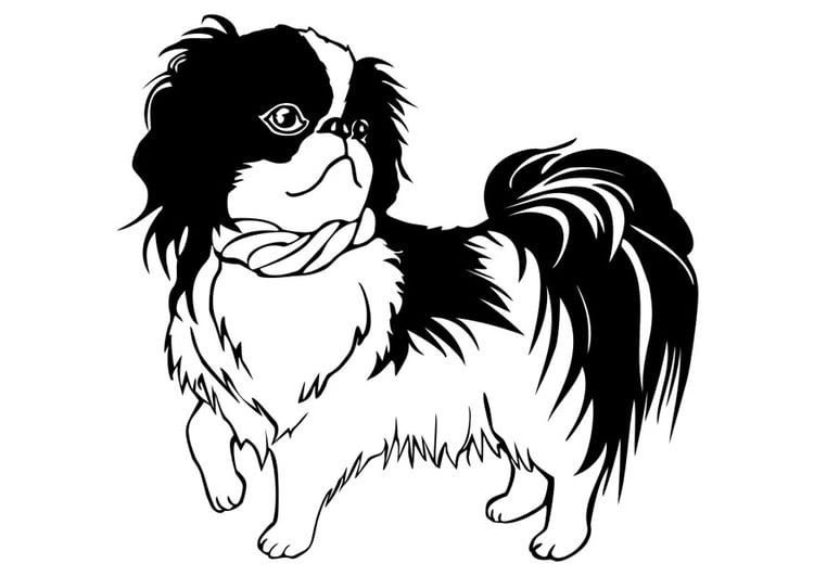 Coloring page dog