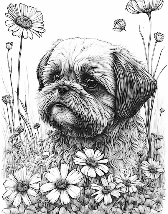 Shih tzu adult coloring sheet ai generated coloring page of a shih tsu dog with flowers instant download