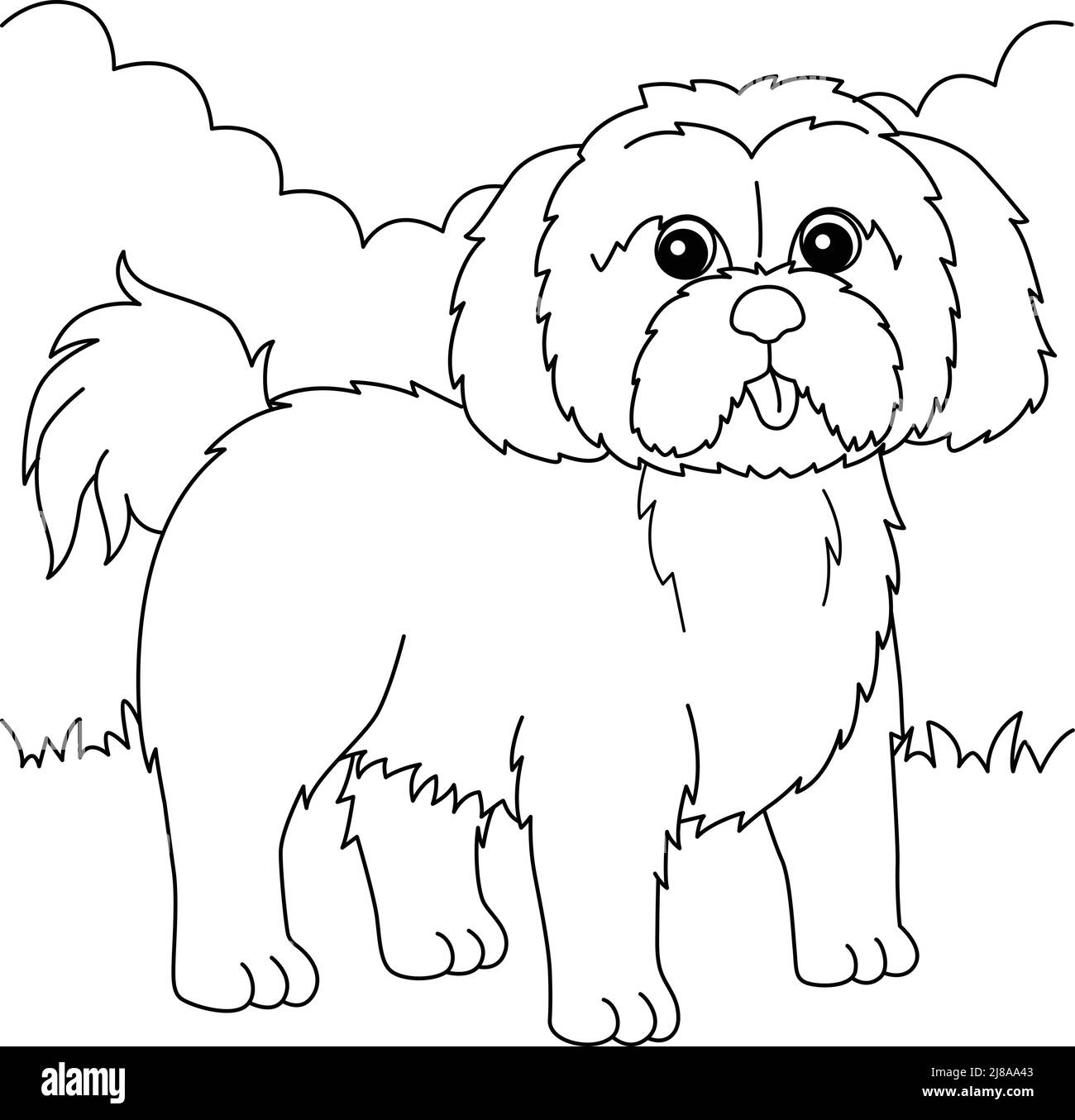 Shih tzu dog coloring page for kids stock vector image art