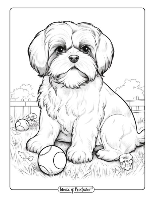 Dog coloring pages for kids adults