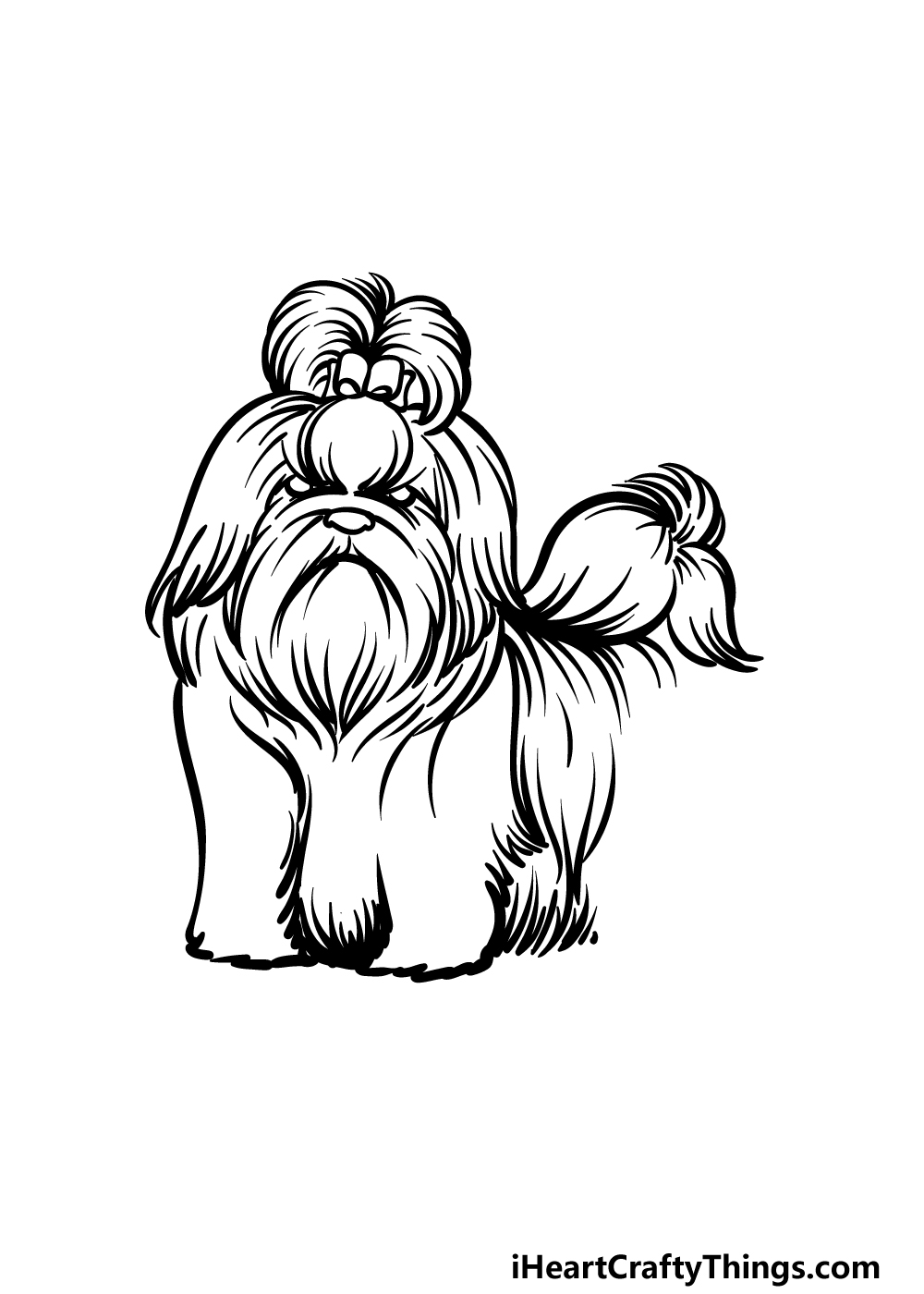 Shih tzu drawing