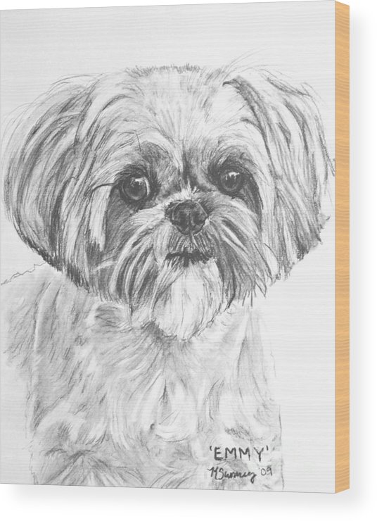 Shih tzu portrait in charcoal wood print by kate sumners