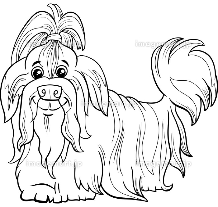 Shih tzu purebred dog animal character coloring book pageãããããç æ