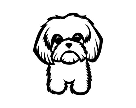 Shih tzu drawing images â browse photos vectors and video